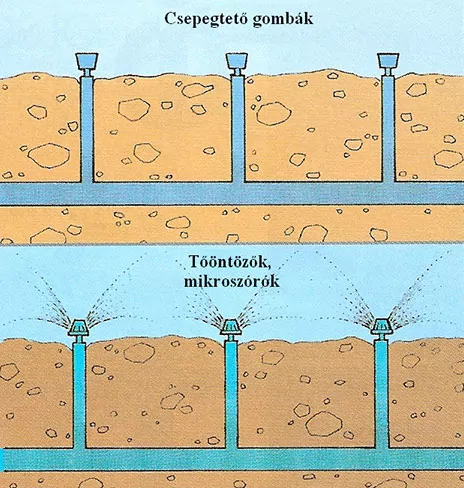 Csepegtető öntözés házikertben - csepegtető gombák, tőöntözők és mikroszórók felszín alatti megtáplálása