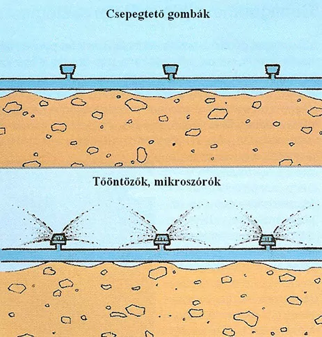 Csepegtető öntözés házikertben - csepegtető gombák, tőöntözők és mikroszórók felszín feletti megtáplálása