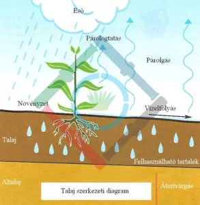 A növények fejlődése - talajszerkezeti diagram